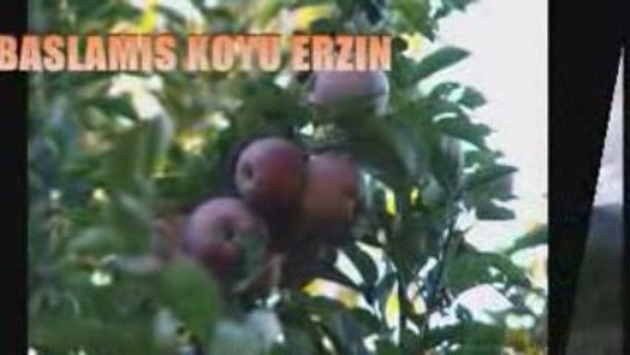 Baslamis koyu erzin/ hatay