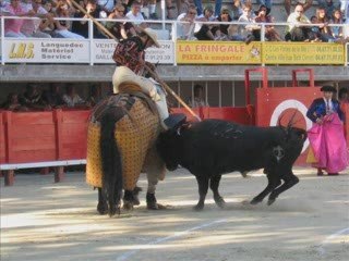 PIQUES CHEVAL DE PIQUE PICADORS
