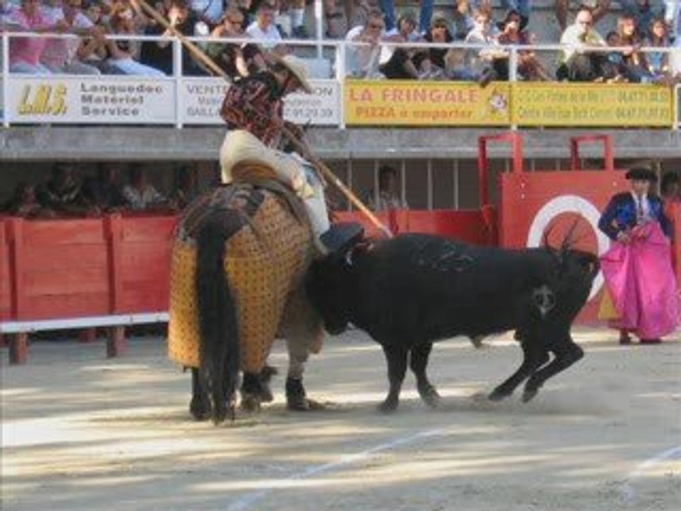 PIQUES CHEVAL DE PIQUE PICADORS