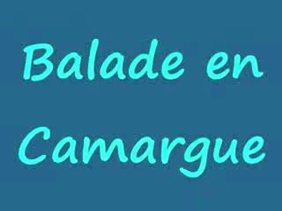 Balade en camargue