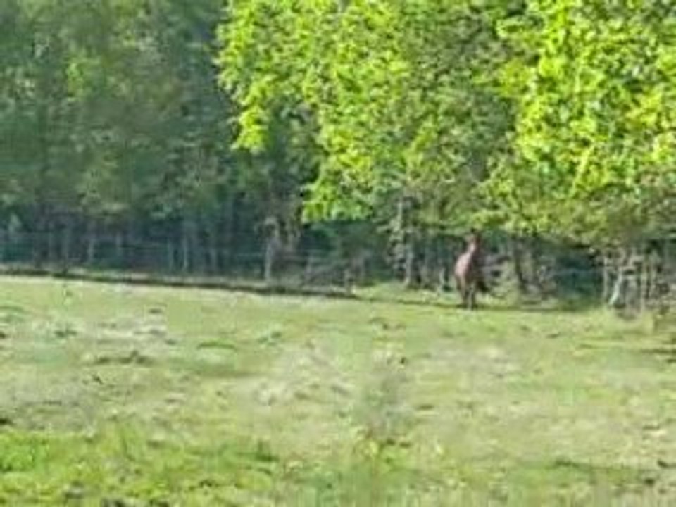 7mai2009 longe 043
