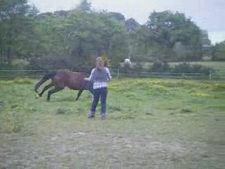 Precious & karel longe