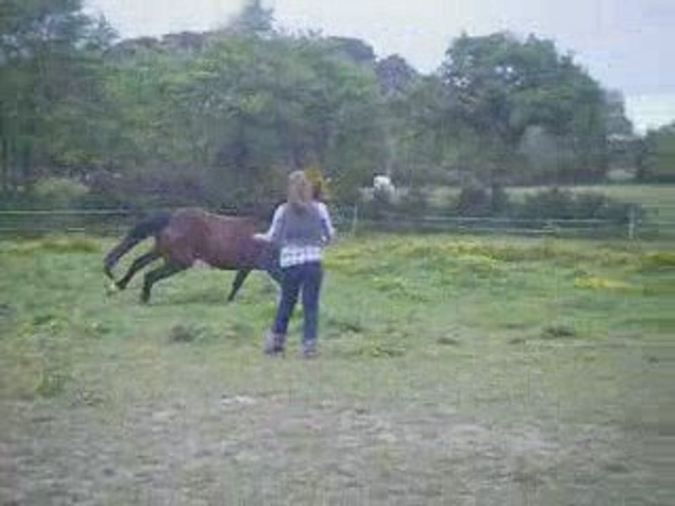 Precious & karel longe