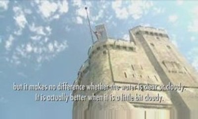 Red Bull Cliff Diving 7 mai 2009 La Rochelle : entrainements