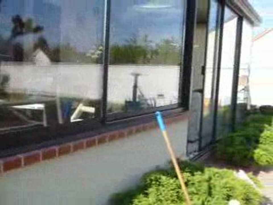 CATSHOUSE MAI 2009 036