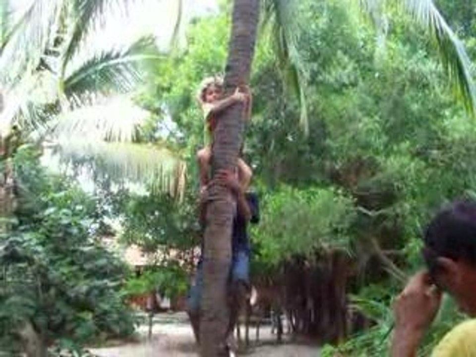 Clément cocotier mai 2009 108