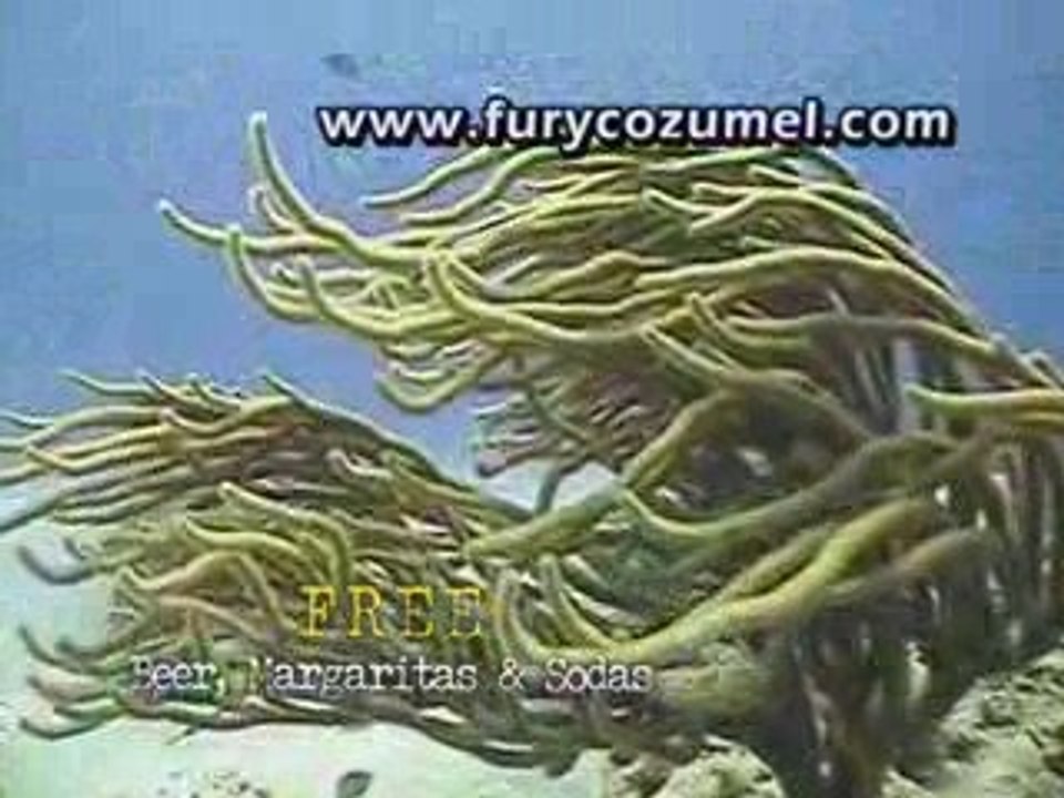 Fury Catamarans in Cozumel Mexico