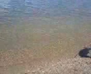 Louna et Chiki à la plage