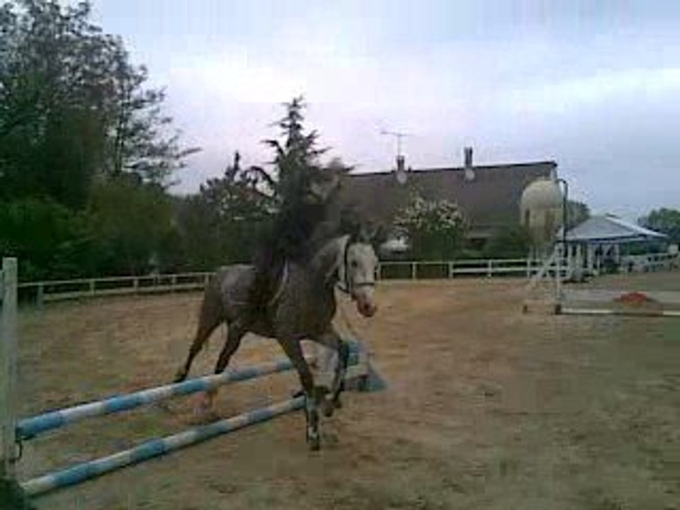 Mon premier concours avec Polka.