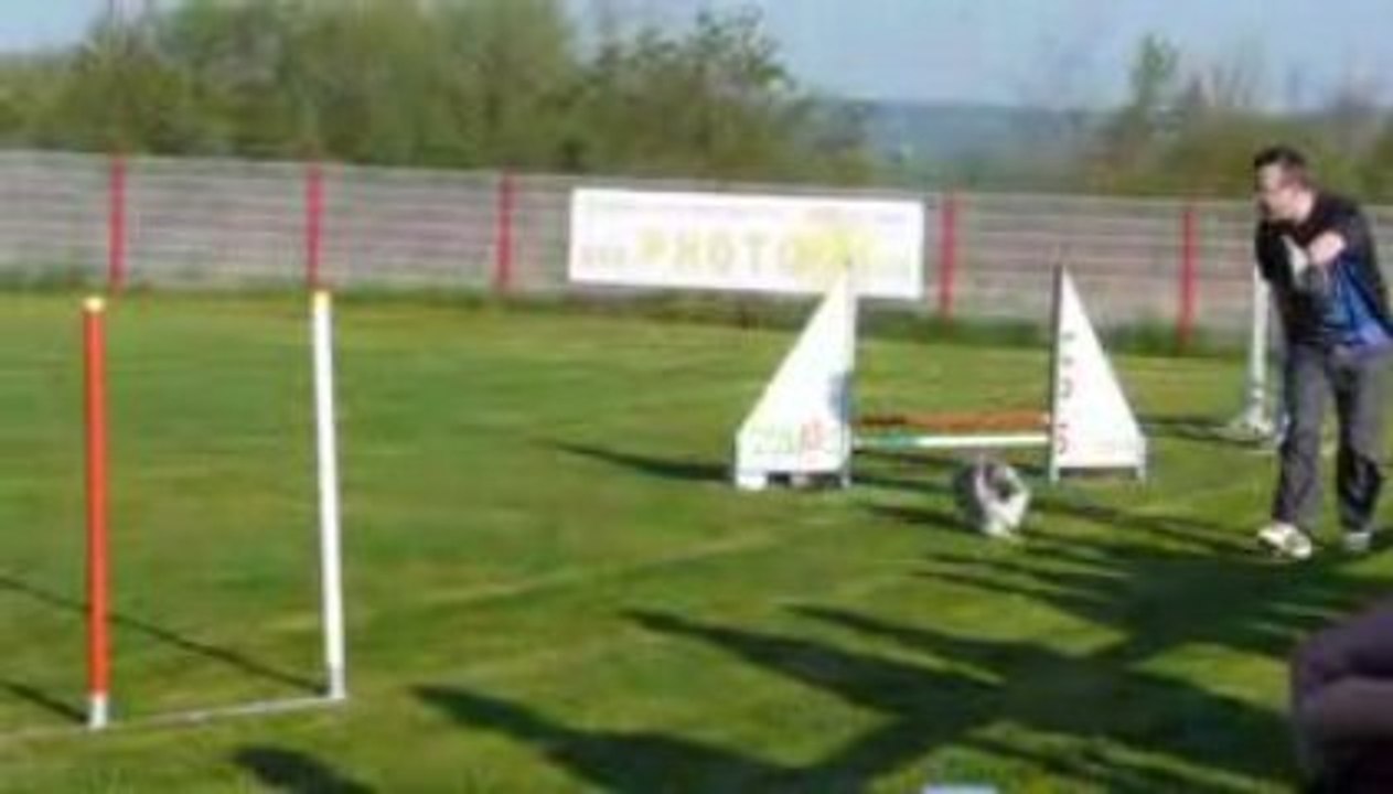 Championnat de Lorraine agility Pascal&Bianca 190409