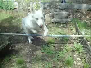 ottawa puissance saut =)