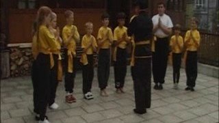 Wing Chun Kung Fu: Internal training