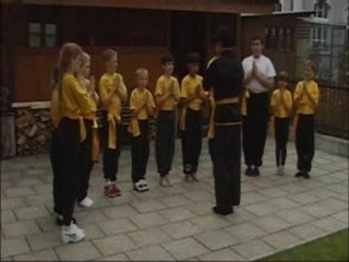 Wing Chun Kung Fu: Internal training