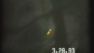 OVNI UFO Gulf Breeze 1993 www.les-ovnis.com