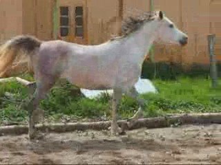 Quiara et nati lib 080509