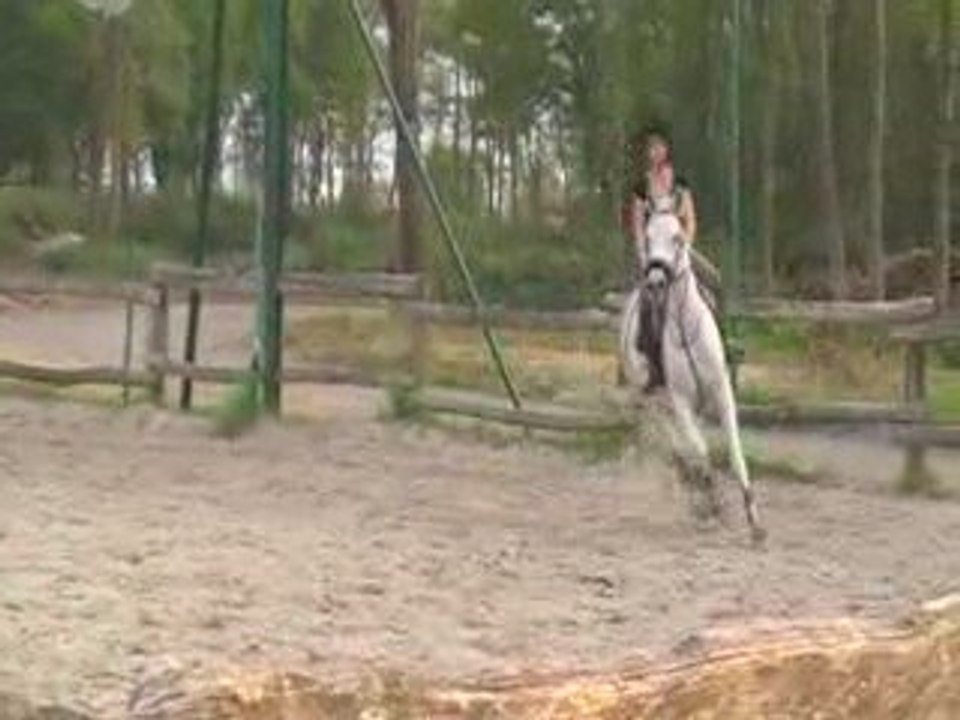 Grand vertical MD