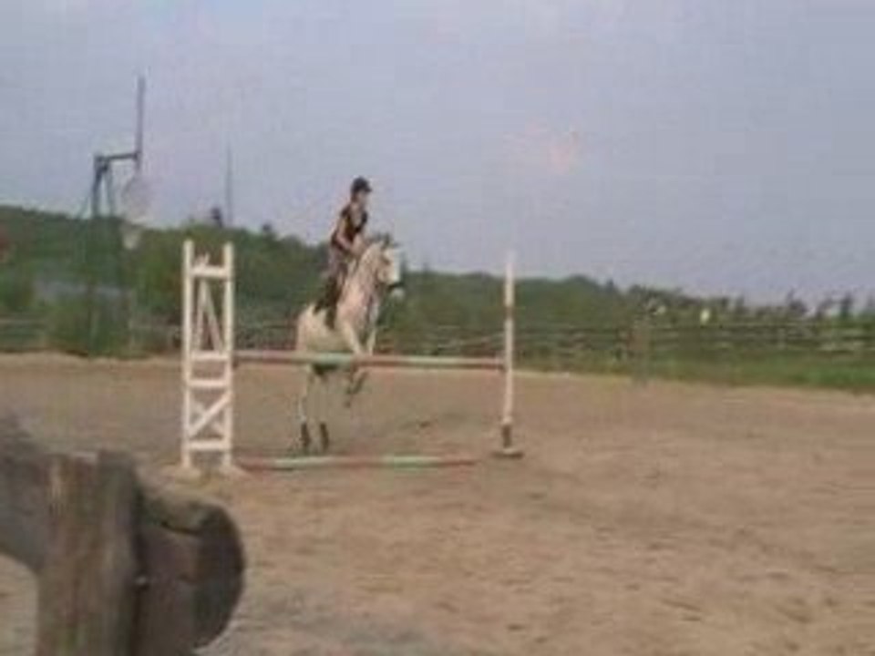 Grand vertical MG