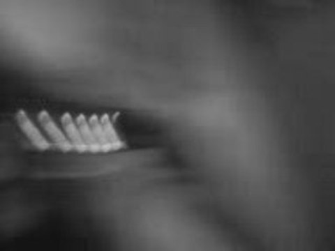 Pardonne-moi mylene farmer (me)