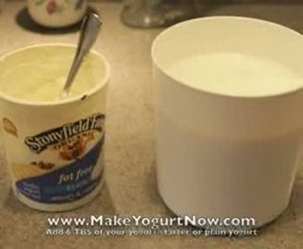Make Yogurt with Yogourmet Yogurt Maker