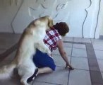 le chien jojo essaye attraper grand-mère