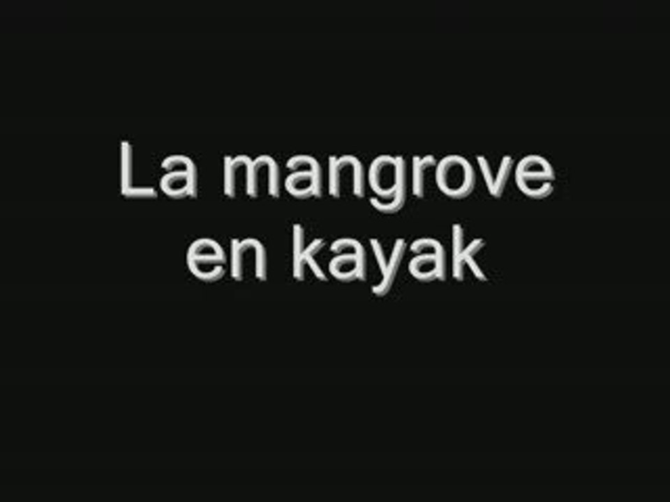 Mangrove en kayak