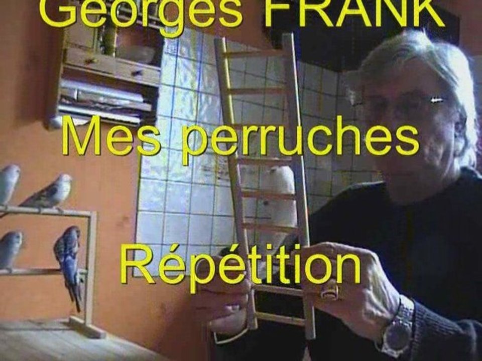 Répétition perruches