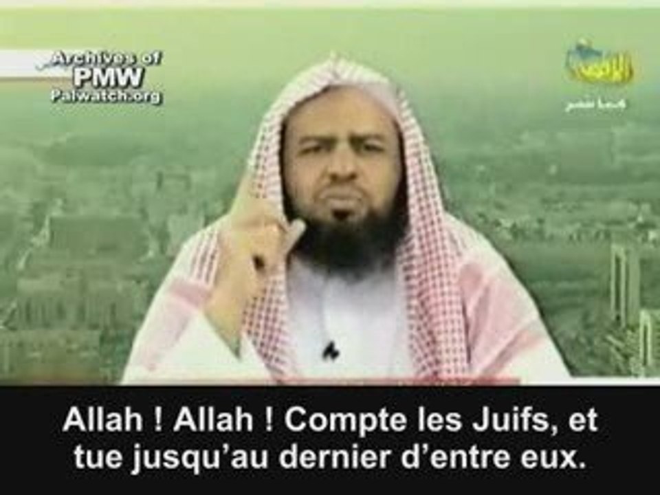 Les démocrates de l'Islam, les gentils '' résistants''