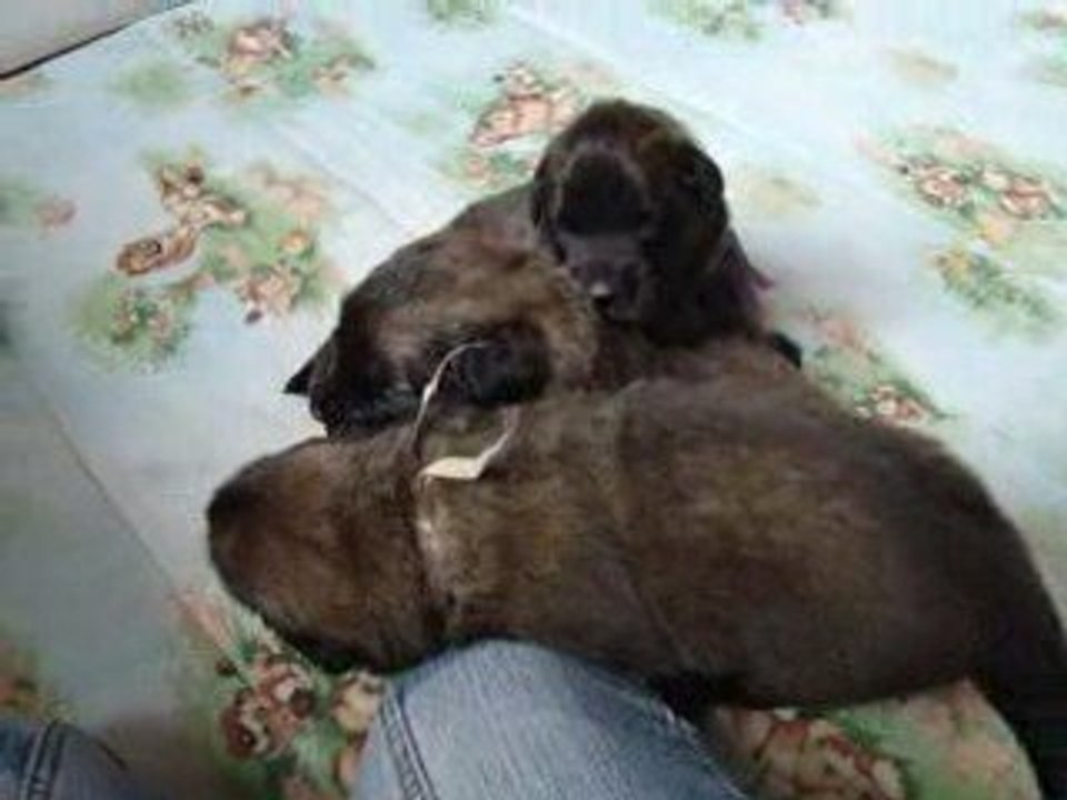 Clip BB 8 mai 2009 087