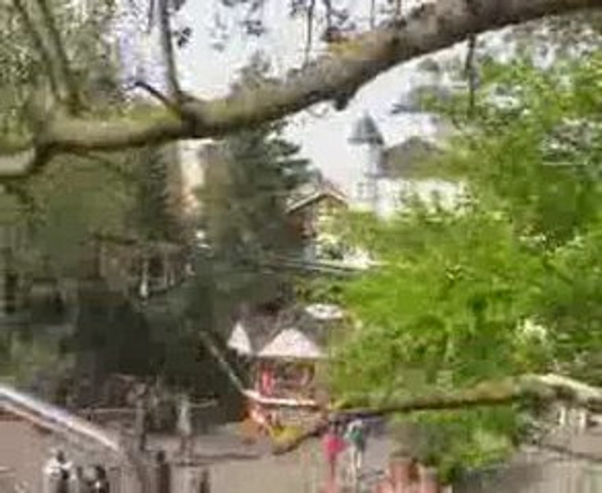 Professeur monorail