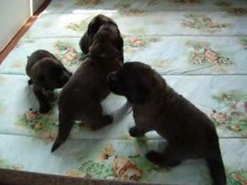 Clip BB 8 mai 2009 088