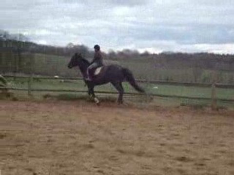 Haras de Val en Pré - Jamaïque & Moi (2)