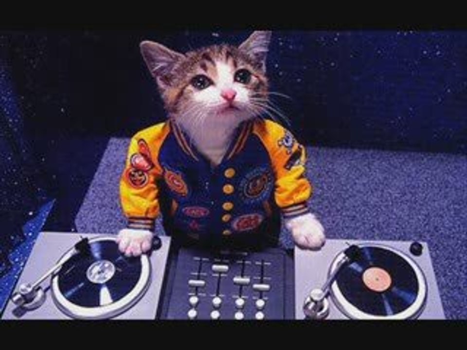 djevan14