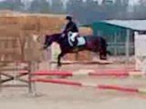 Marine & Pixelle. Club Poney 1 , Chute.