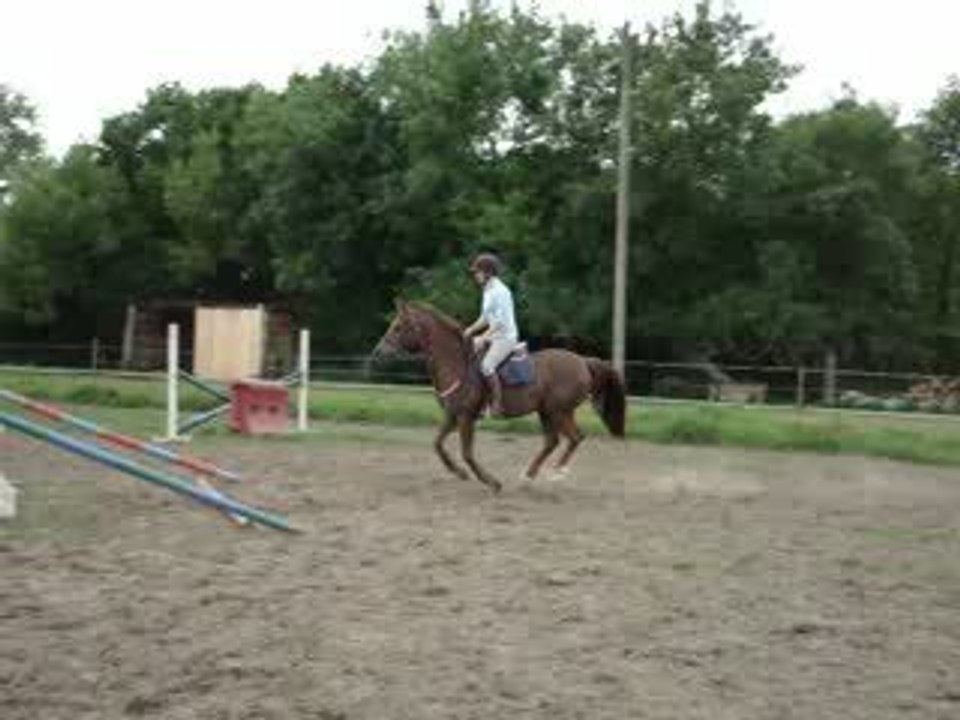 saut jean claude ligne