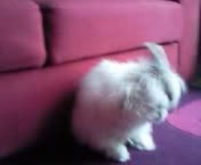 Moment de faire joujou !!!