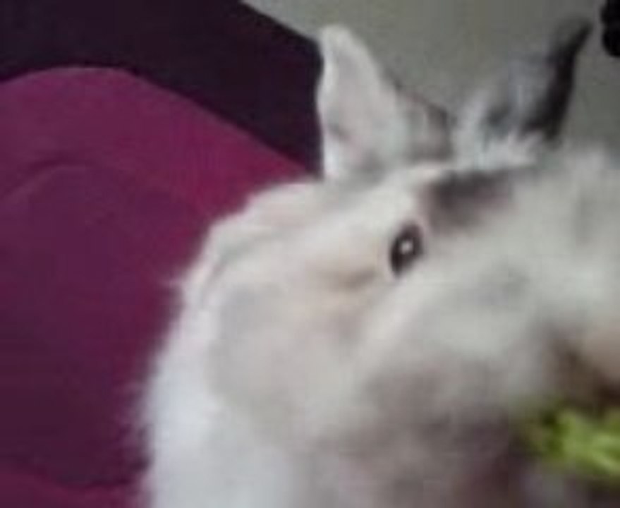 Mon pti délice a moi (a consommer a tites doses!!)