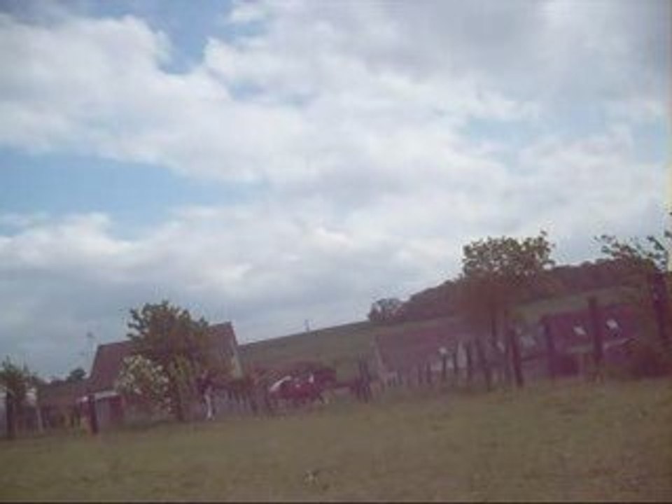 1ère séance de longe