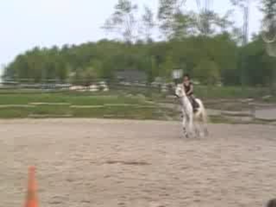 Grand oxer