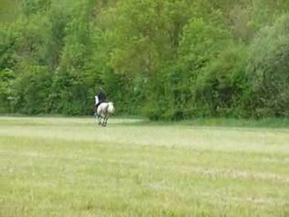 galop libre