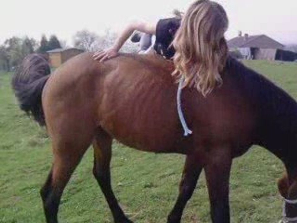 Suspence coup de boule aiie :s