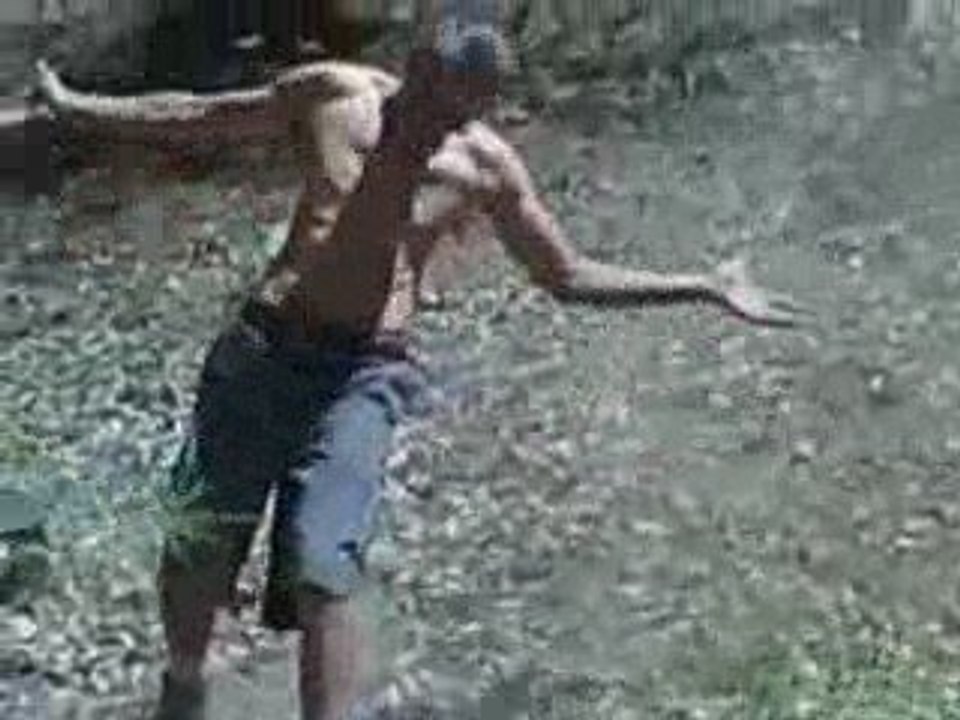 dare devil