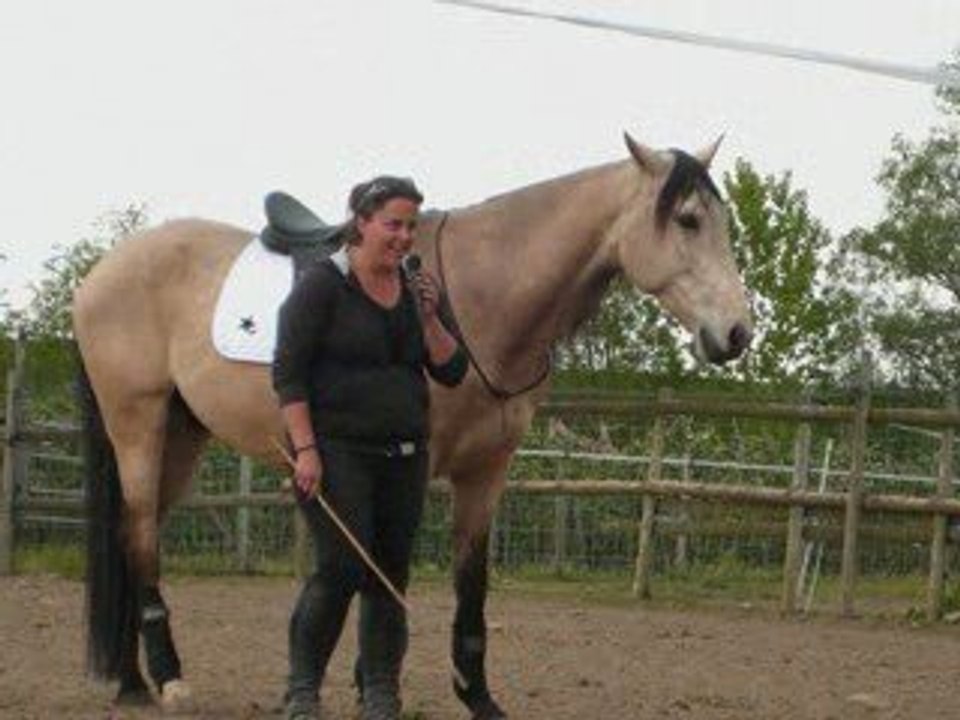 Fête Du Printemps Au Pleiades