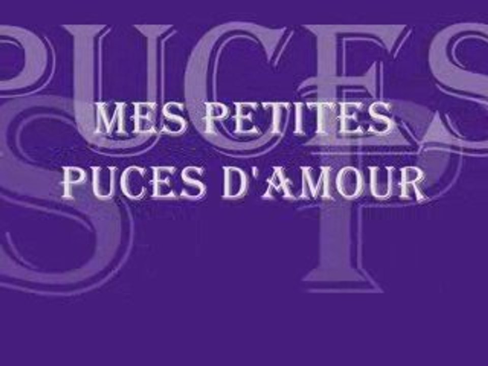 MES PETITES PUCES D'AMOUR