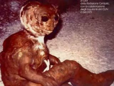 1993 Italy Italie Italia Real Alien Creature Ufo Ovni