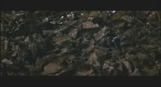 Une pure formalité de Giuseppe TORNATORE (1994) Fr 4/9