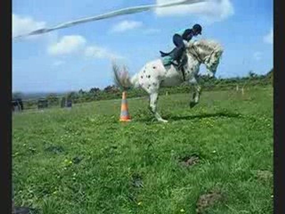 08-05-09 : en licol, galop, chute de hondo