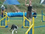 Unofficial race in agility - Cebin, 28. 8. 2008