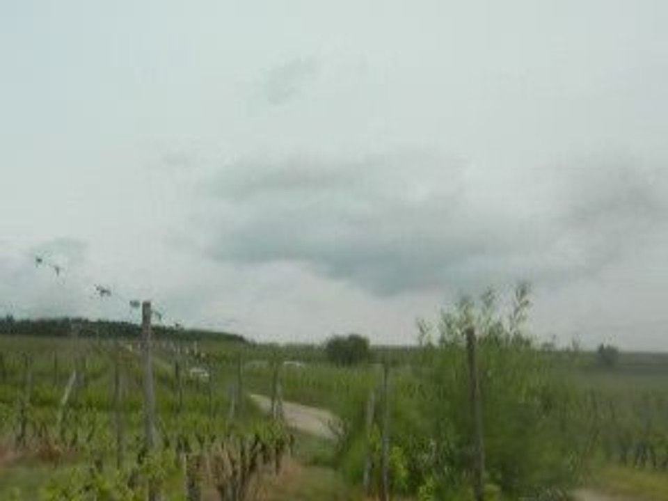 RALLYE ALSACE-VOSGES 2009 , EPFIG , PEUGEOT 206