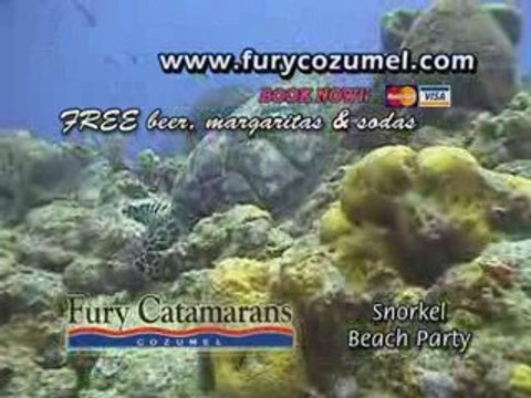 Cozumel Tours Fury Catamarans Snorkel Beach Party