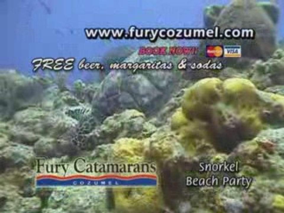 Cozumel Tours Fury Catamarans Snorkel Beach Party